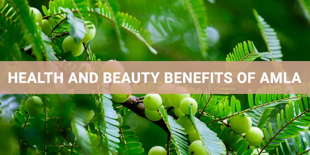 Health and beauty benefits of Amla